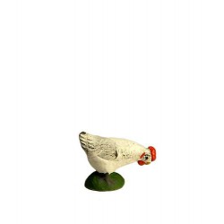 Poule Blanche Picorante