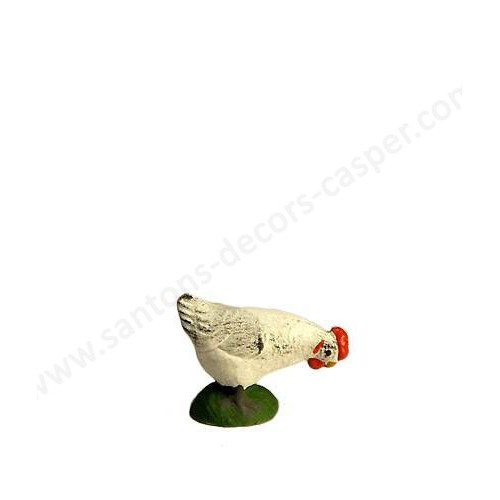 Poule Blanche Picorante