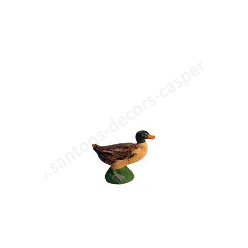 Canard