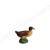 Canard