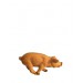 Cochon