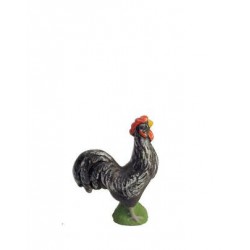 Coq (noir ou roux selon stock)