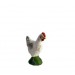 Poule blanche