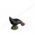 Poule picorante noire