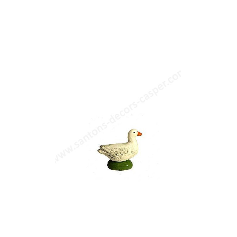 Canard