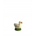Canard